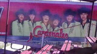 Video thumbnail of "HAY CARDENALES DE NUEVO LEON"