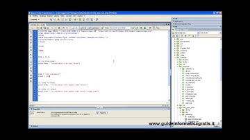 Corso Php MySql - GUIDA 08 / analisi delle variabili