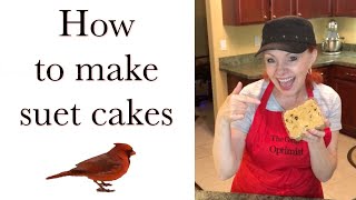 How to make Suet Cakes for Birds #birds #birdfeeder #suetcakerecipe screenshot 4