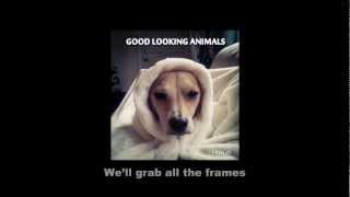 Flames by Good Looking Animals - Lyric Video