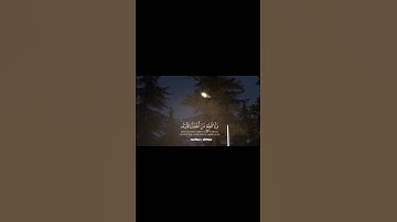 لا تنسوا قراءة الكهف يوم الجمعة❤️🫂#سورة_الكهف #اكسبلور #قرآن #جمعة_مباركة #جمعة #لايك #إسلامي #quran