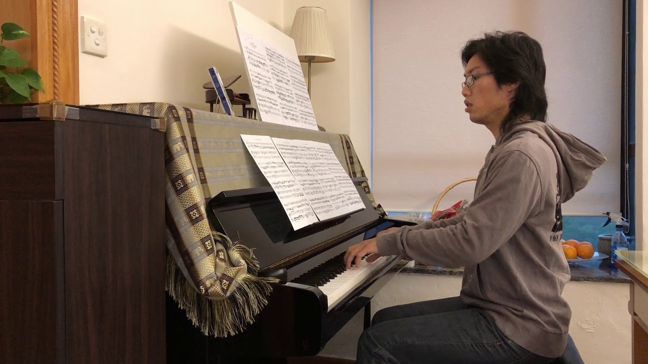 J.S. Bach: Concerto for 2 Violins in D Minor - 1st Movement - Piano Part [Moderate Tempo]