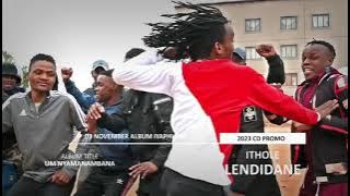 Ithole leNdidane  CD Promo 2023 (umnyamanambana 2023