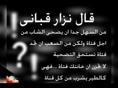 اغنية الدنيا طارق الشيخ و زاب ثروت