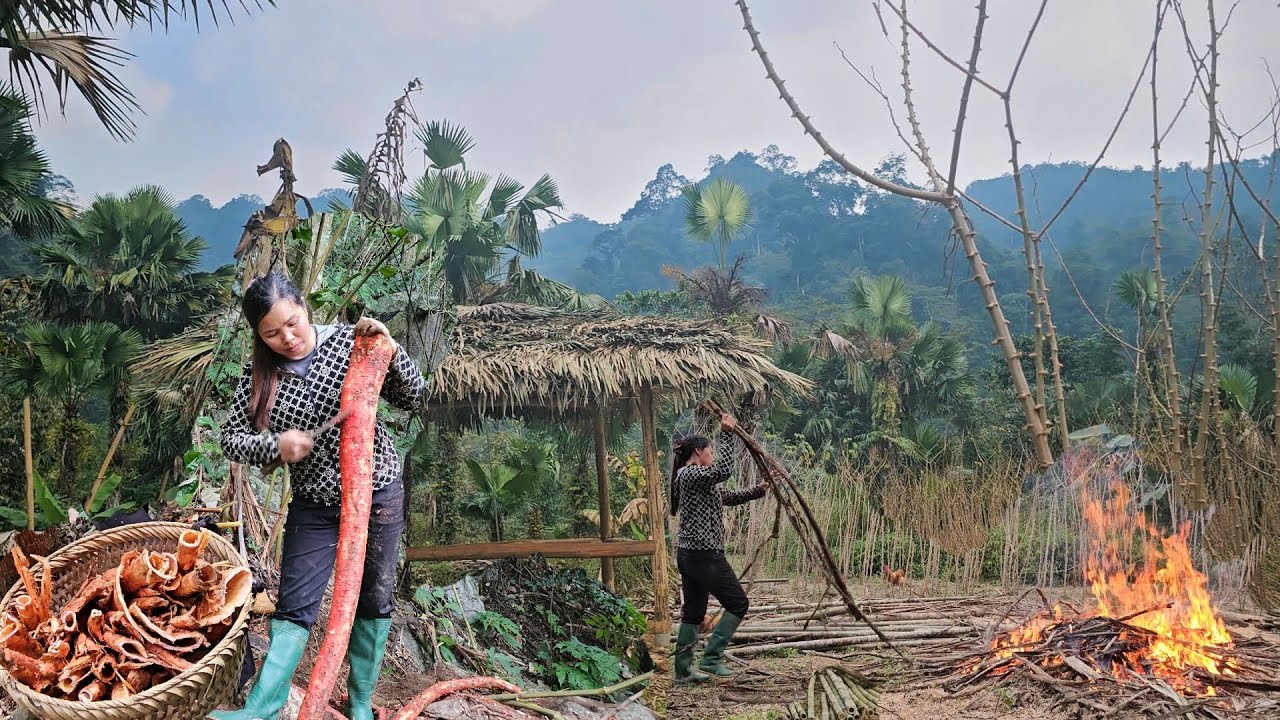 Co Tieu's single life revolves around decorating her house - Lucky to find betel shells