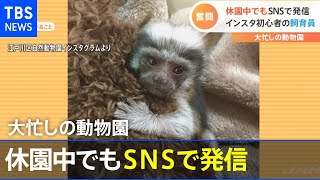 人気動物園 臨時休園のウラ側「再開」へ向け準備【Nスタ】