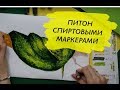 Как нарисовать змею (поэтапный видеоурок)