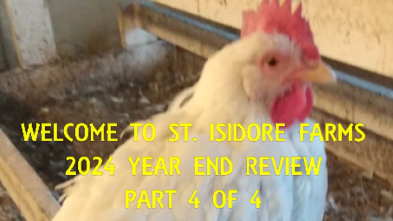 Our challenges in 2024 - year end review part 4 - YouTube