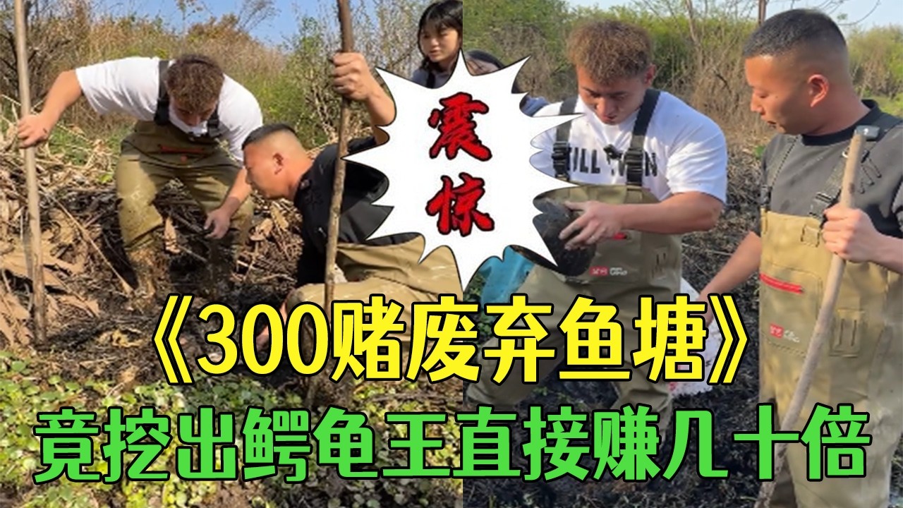 300元賭廢棄魚塘！竟挖出鳄龜王直接賺幾十倍 #小飛哥  #三農#護外#鄉村守護人 #包塘