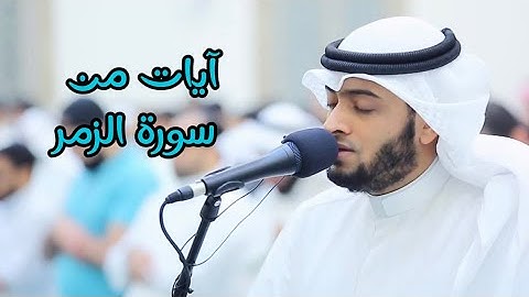 تلاوة هادئة وبديعة لآيات من سورة الزمر | القارئ أحمد النفيس ❤️