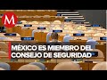 México logra escaño en el Consejo de Seguridad de la ONU