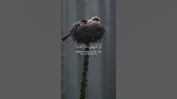 أكتب شيء تؤجر عليه ❤️‍🩹#القارئ_فهد_البواردي #سورة_مريم #قرآن_كريم #quran