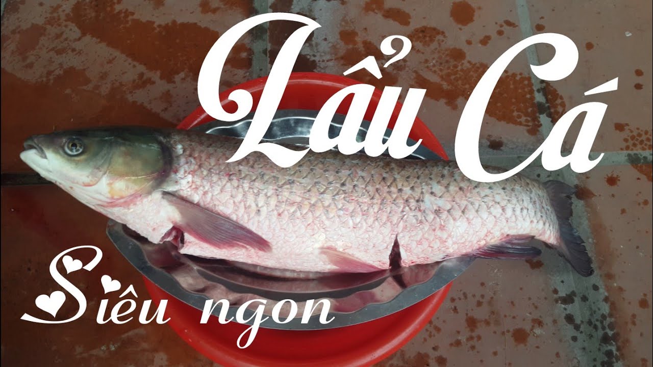 Hướng dẫn Cách nấu lẩu cá – Cách Làm Lẩu Cá Ngon