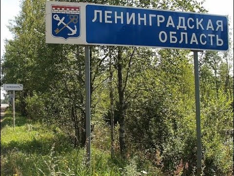 Пособия на ребенка в Ленинградской области и Санкт-Петербурге в 2021 году