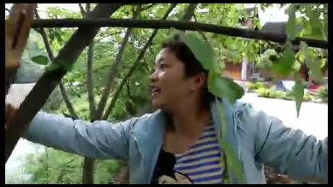 Navigate B2 Upper Intermediate - Traditional skills - Unit 8