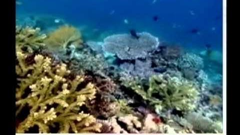 Tidal Tempest Zone - Sonic CD