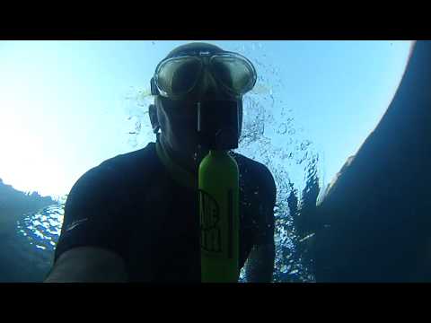 ტობავარჩხილი