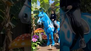 abizar naik kuda poni part3 #funny