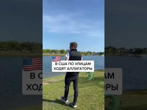 Видео: Могли ли крокодилы выжить в Англии?