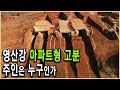 KBS 역사추적 – 영산강 아파트형 고분의 미스터리