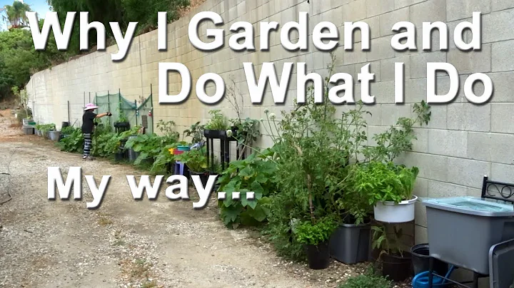 Vegetable Gardening FOREVER 'Make Routine EASY' Co...