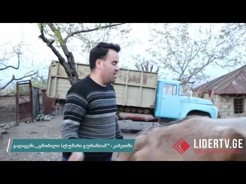 გადაცემა ,,ცნობილი სტუმარი გურამთან\" - კახეთში