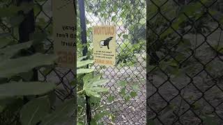 The Truth About Urine: The Hidden Dangers of Pee