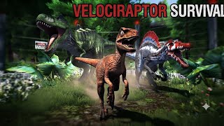 😱 VELOCIRAPTOR SURVIVAL vs T-REX, SPINOSAURUS & MORE! 🔥 Epic Dinosaur Battles | Jurassic Clash screenshot 2