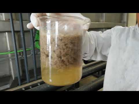 Vídeo: Efectividad De Los Sistemas De Tratamiento De Aguas Residuales En La Eliminación De Agentes Microbianos: Una Revisión Sistemática