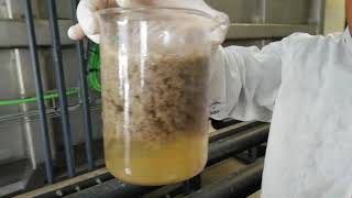 Efficiency of the coagulation-flocculation system in wastewater treatment by SIGMADAF Clarifiers - Wastewater Solutions 11,696 views 3 years ago 13 seconds