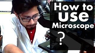 How to use a Microscope | Using light microscope basics