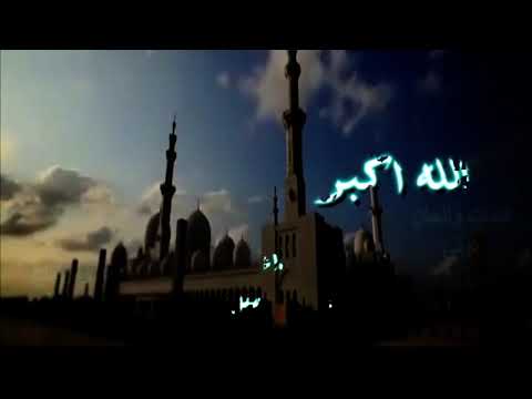 لبى الندا احمد العيسوي