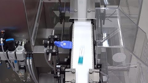 HC-A-MI Dynamic Checkweigher with Counting and Sorting Function