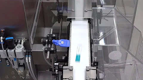 HC-A-MI Dynamic Checkweigher with Counting and Sorting Function