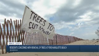 11-year-old asks city to keep trees along Pere Marquette Beach Net Worth