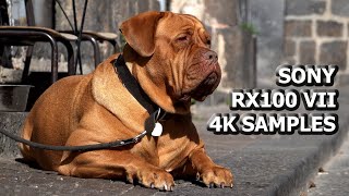 Sony Cyber-shot RX100 VII (RX100M7) 4K Video Samples @digimaniecz