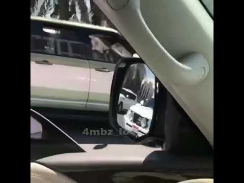 رئيس الدولة وشعبة