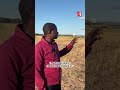 The Zambian fishing island seized by a Chinese company • RFI English