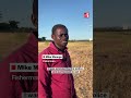 The Zambian fishing island seized by a Chinese company • RFI English