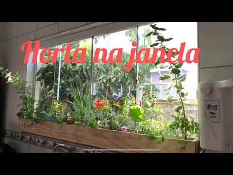 Vídeo: Horta No Peitoril Da Janela