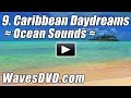 9 - CARIBBEAN DAYDREAMS WAVES DVD six 10 min loopable scenes video relaxing ocean sounds best beach