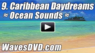 9 - CARIBBEAN DAYDREAMS WAVES DVD six 10 min loopable scenes video relaxing ocean sounds best beach