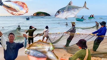 Ngư Dân Kéo Lưới Rùng Trúng Mẻ Cá Lão | Món Canh Chua Bạch Tuộc Lá Me Non