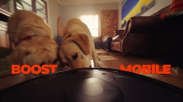 Boost Mobile... Works its arse off