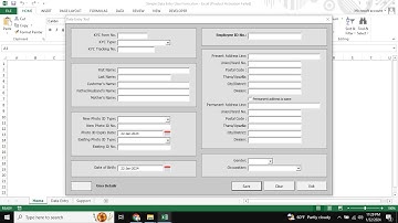 Dynamic Data Entry User Form in Excel VBA