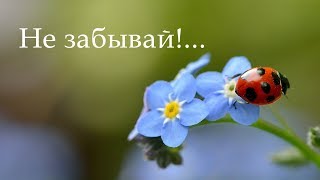 Не забывай! ...