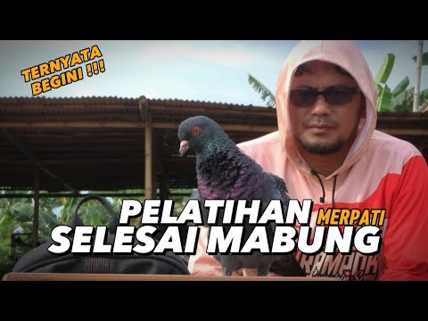 Video: 3 Cara Menambah Ikan ke Akuarium Baru