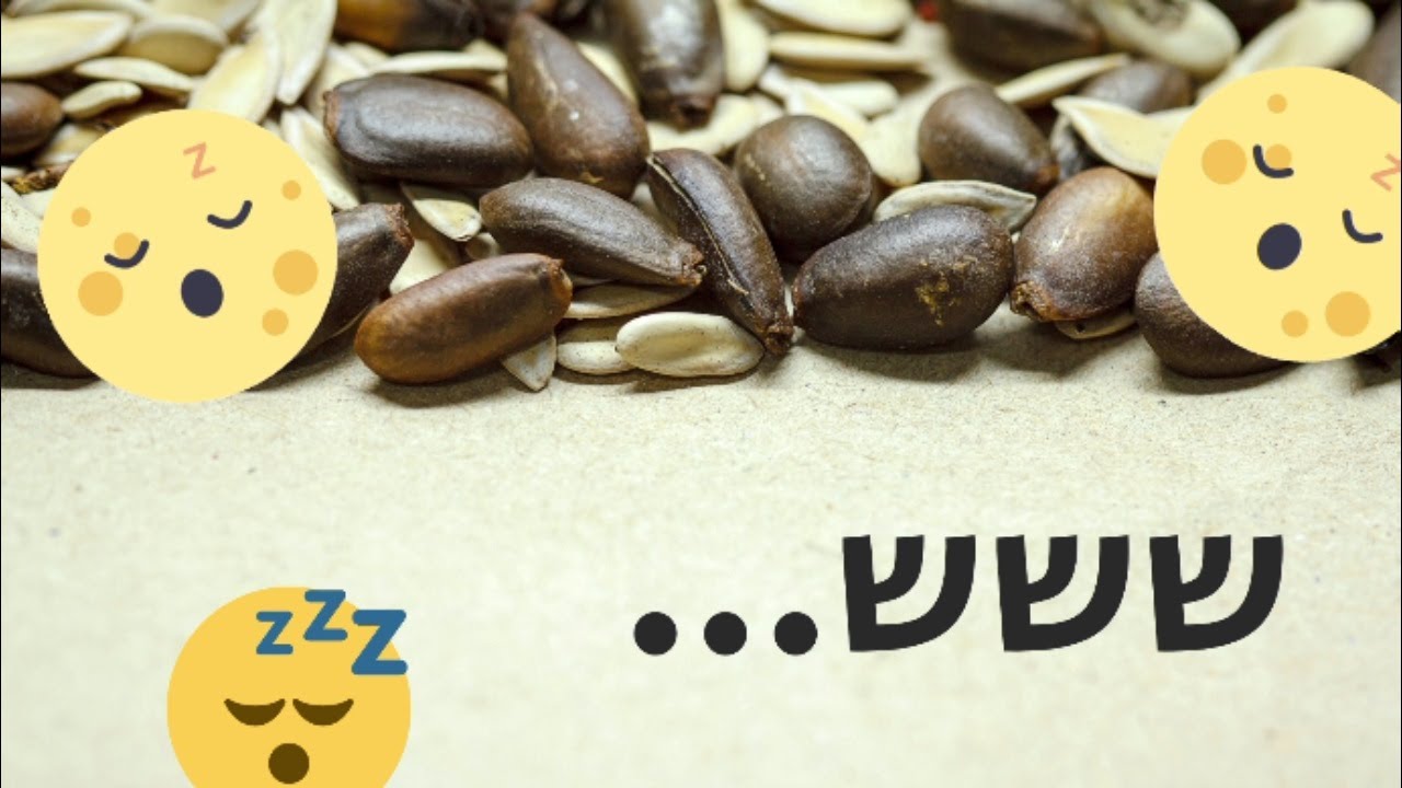 צמחים | הנבטה 🌱   --   חווה חקלאית שדרות