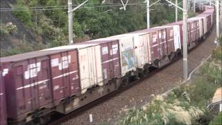 東海道線　3075レ　EF65 2074