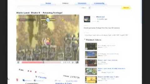 Nintendo WII Wario Land Adobe Flash Player